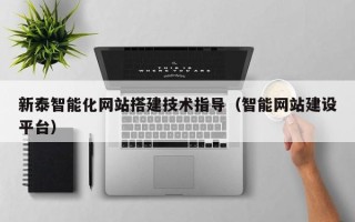 文昌新泰智能化网站搭建技术指导（智能网站建设平台）